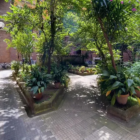 Piazza San Pietro Roma